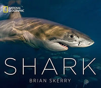Thumbnail for Shark (National Geographic)